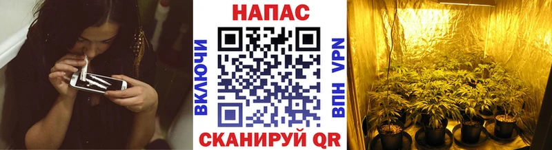 Виды наркотиков купить Елец Кокаин  АМФ  гидра ссылки  Мефедрон 