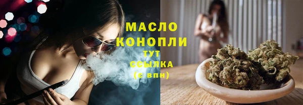 тгк Туринск