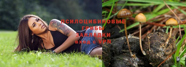 тгк Туринск