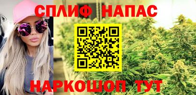 мдпв Камышлов