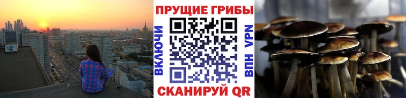 Псилоцибиновые грибы мухоморы  Елец 