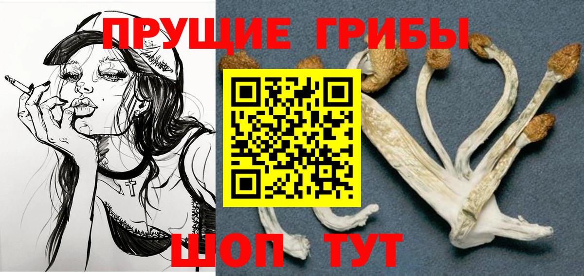 Елец  ГАШ  Вход с VPN  МЕФ  Мефедрон   МДМА 