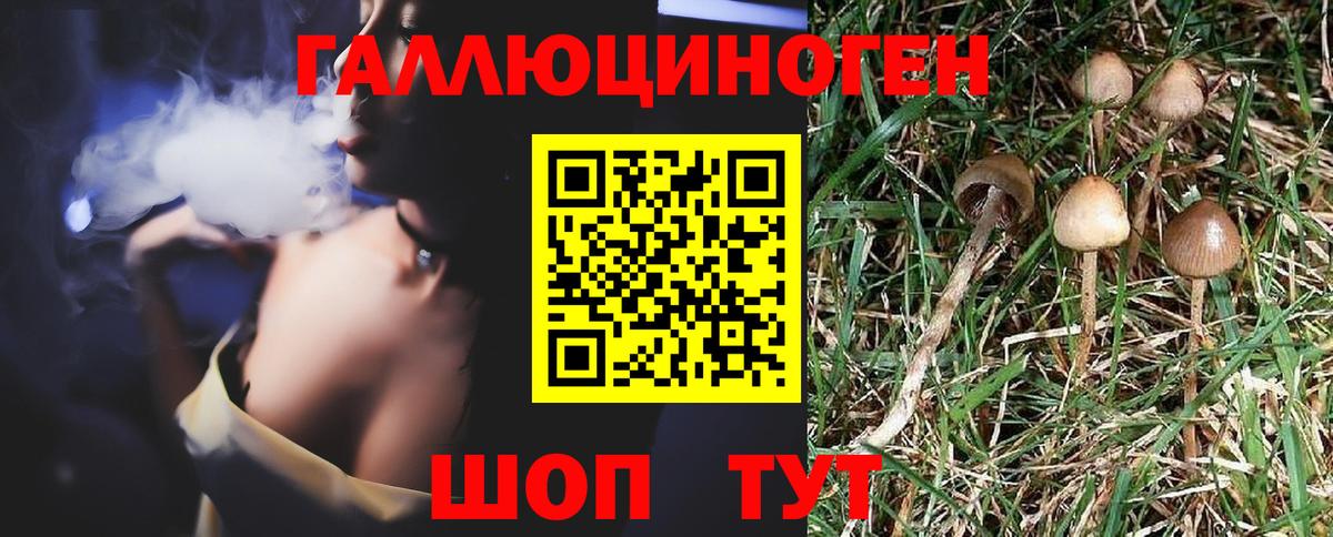 Галлюциногенные грибы MAGIC MUSHROOMS  где можно купить   Елец  Псилоцибиновые грибы мухоморы  Вход с VPN 