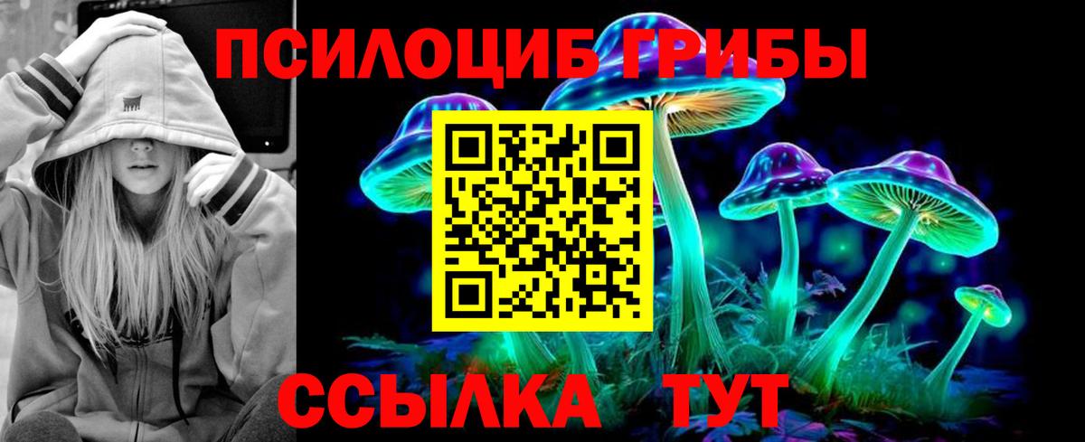 Галлюциногенные грибы Psilocybe Елец